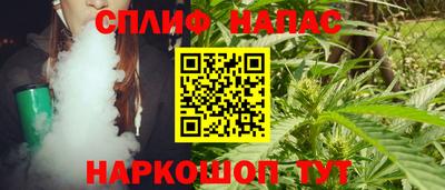 гидра Дубна
